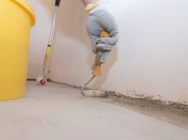 Best Termite Inspection and Treatment  in Sherwood, WI